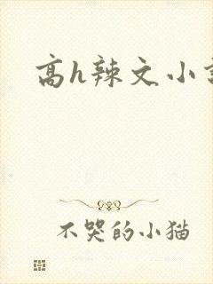 高h辣文小说网