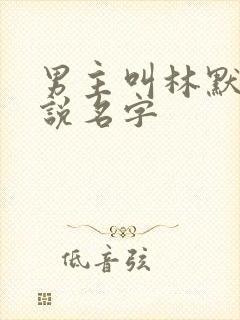 男主叫林默的小说名字