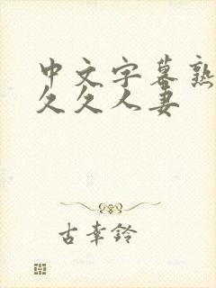 中文字幕熟妇久久久人妻封面