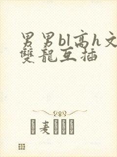 男男bl高h文双龙互插