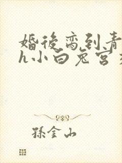 婚后脔到青梅哭h小白兔宫交h