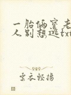 一胎俩宝老婆大人别想逃txt下载