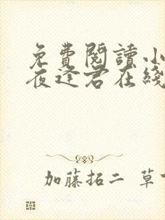 免费阅读小说此夜逢君在线阅读全文