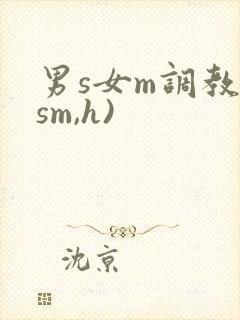 男s女m调教(sm,h)