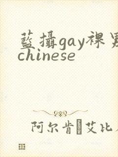 蓝摄gay裸男chinese封面