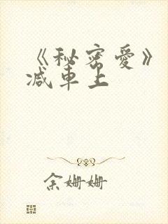 《秘密爱》未删减车上