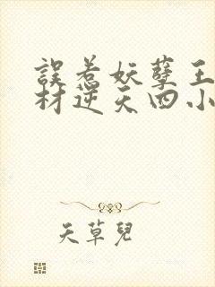 误惹妖孽王爷废材逆天四小姐 苏小暖