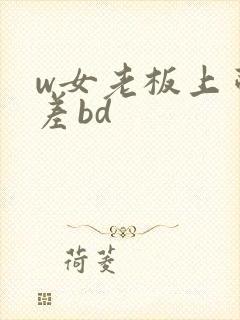 w女老板上司出差bd封面