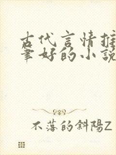 古代言情推荐文笔好的小说封面