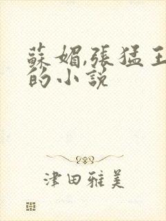 苏媚,张猛王海的小说