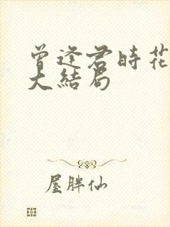 曾逢君时花照眼大结局