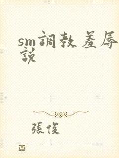 sm调教羞辱小说