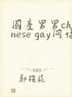 国产男男chinese gay网站