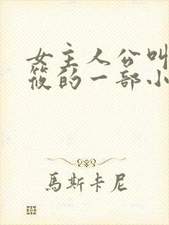 女主人公叫顾筱筱的一部小说