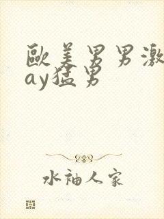 欧美男男激情gay猛男封面
