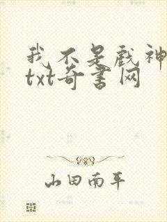 我不是戏神小说txt奇书网
