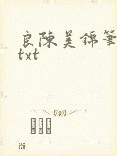 良陈美锦笔趣阁txt