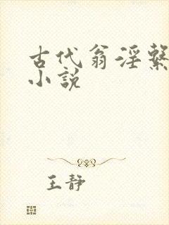 古代翁淫系姿h小说