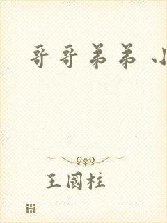 哥哥弟弟 小说