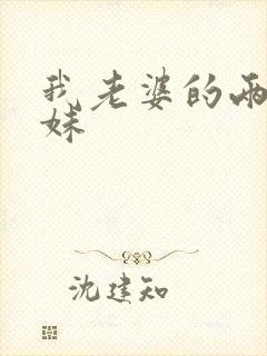 我老婆的两个妹妹封面