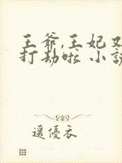 王爷,王妃又去打劫啦 小说