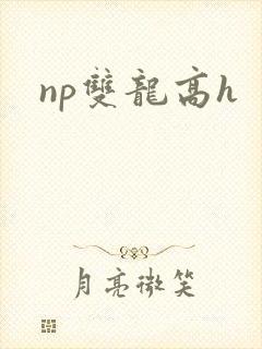 np双龙高h