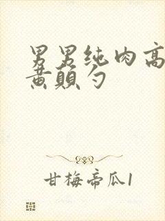 男男纯肉高h污黄颠勺