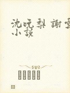 沈晚梨 谢云迟小说