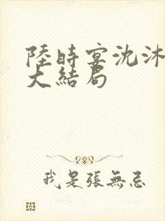 陆时宴沈沐最终大结局