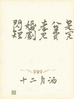 闪婚老公是总裁短剧免费完整版封面