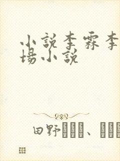 小说李霖李澜官场小说