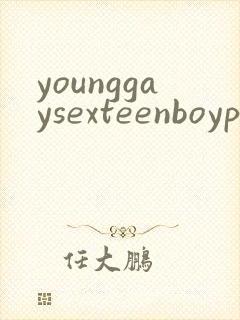 younggaysexteenboypornvideo