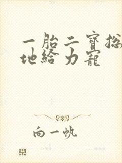 一胎二宝总裁爹地给力宠