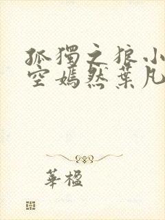 孤独之狼小说司空嫣然叶凡封面