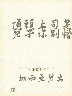 顶头上司是后妈儿子你别懵封面