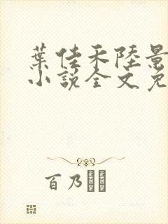叶佳禾陆景墨的小说全文免费阅读封面