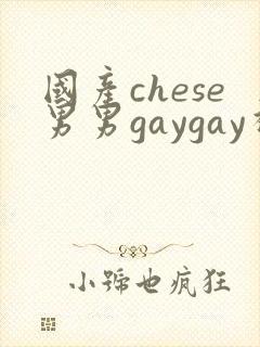 国产chese男男gaygay视频网站封面