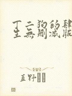 丁二狗的肆意人生无删减版
