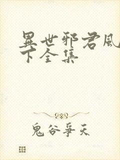 异世邪君风凌天下全集