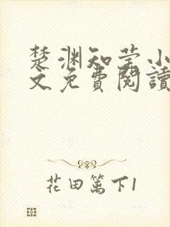 楚渊知莹小说全文免费阅读