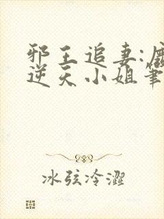 邪王追妻:废材逆天小姐笔趣阁