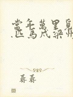 当年万里觅封侯.匹马戍梁州