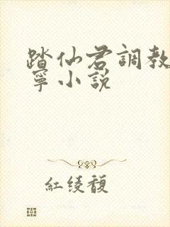 踏仙君调教楚晚宁小说