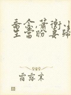乔念,萧衡小说生当盼妻归