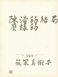 陈浩的结局是什么样的