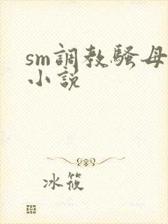 sm调教骚母狗小说封面