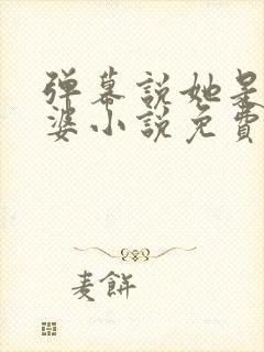 弹幕说她是我老婆小说免费阅读txt