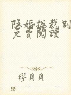 隐婚总裁别太坏免费阅读封面