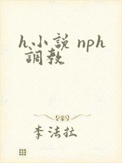 h小说 nph 调教