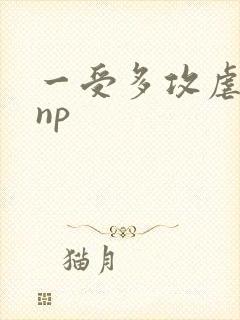 一受多攻虐受文np